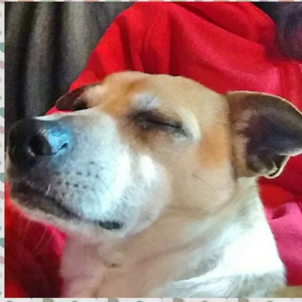 Meet your Posher, Trace